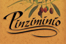 Pinziminio logo
